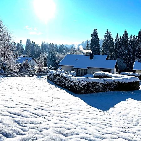 Michels Apartment Titisee-Neustadt Luaran gambar