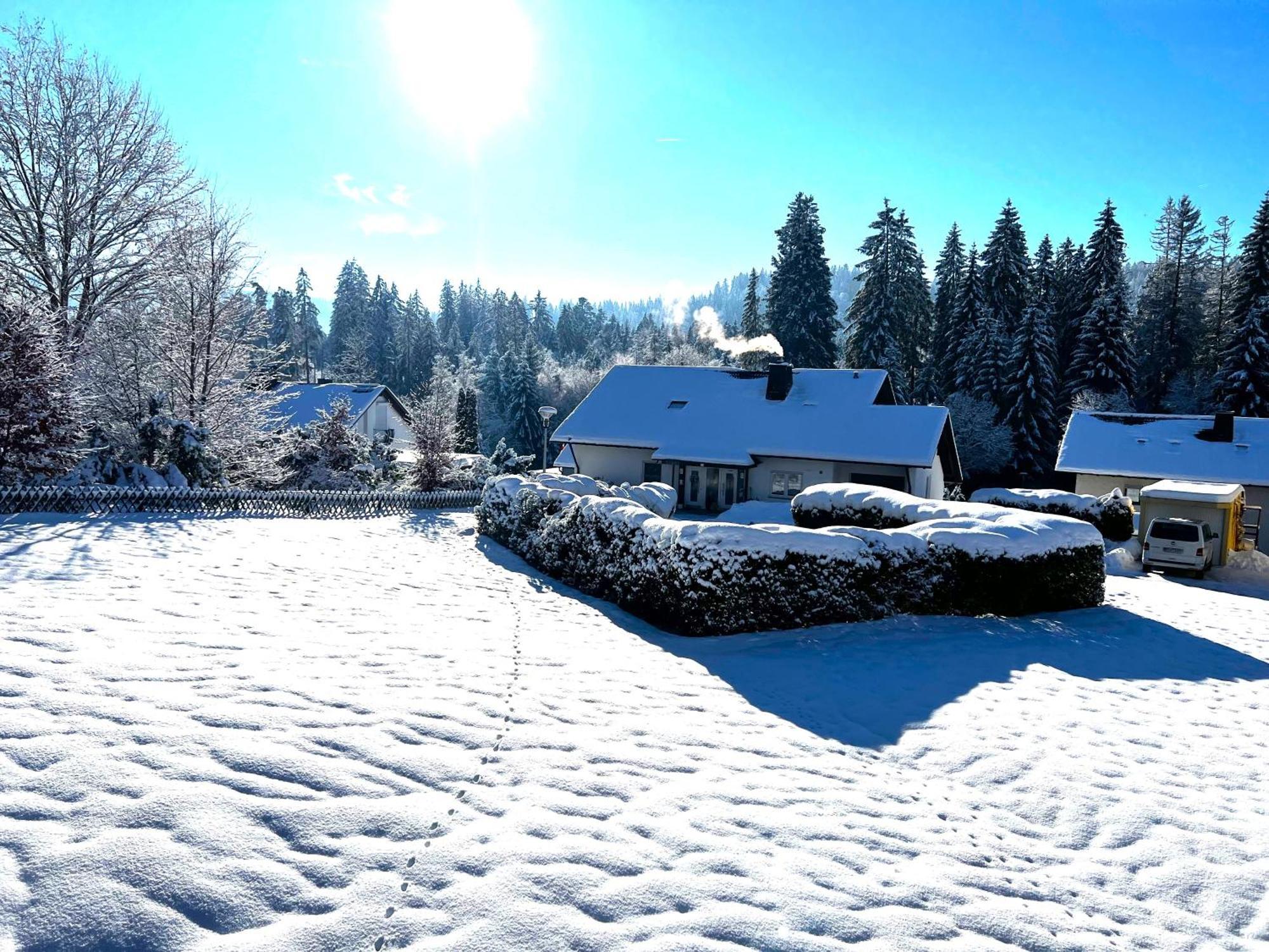 Michels Apartment Titisee-Neustadt Luaran gambar