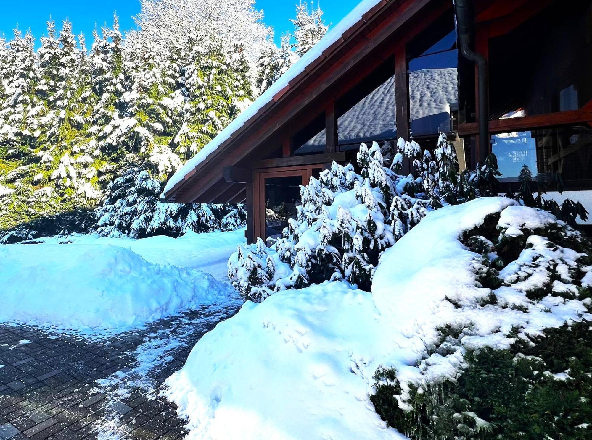 Michels Apartment Titisee-Neustadt Luaran gambar